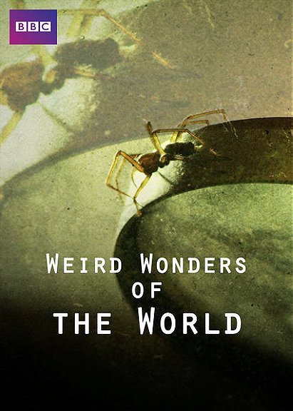 Weird Wonders of the World