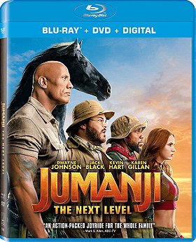 Jumanji: The Next Level  [Blu-ray + DVD]