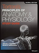 Principles of Anatomy and Physiology, 13th Edition