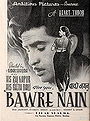 Bawre Nain