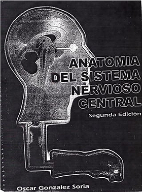 Anatomía del sistema nervioso central