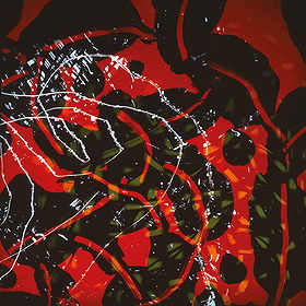 Nerve Net