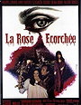 La rose écorchée