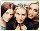 Shedaisy