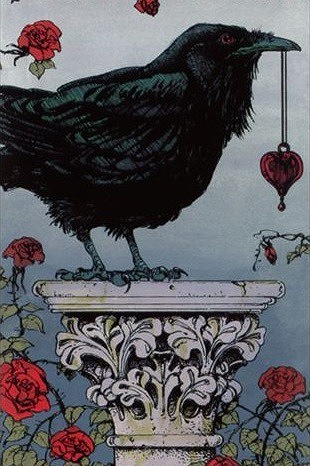 Matthew the Raven