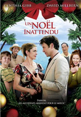 Un Noel innatendu (2007) An accidental Christmas