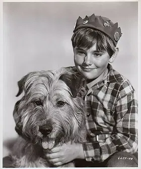 Shaggy the Dog