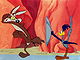 Wile E. Coyote and Road Runner