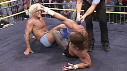 Ric Flair vs. Terry Funk (11/15/89)