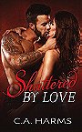 Shattered by Love (Scarred by Love #3)