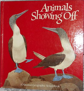 Animals Showing Off  (A Pop-Up Book) (National Geographic Action Book)