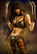 X 23