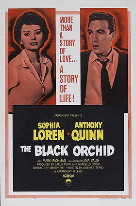 The Black Orchid