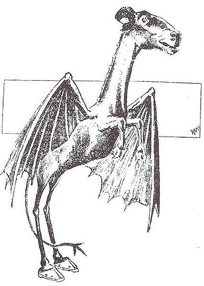 The Jersey Devil