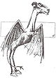 The Jersey Devil