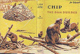 Chip the Dam Builder