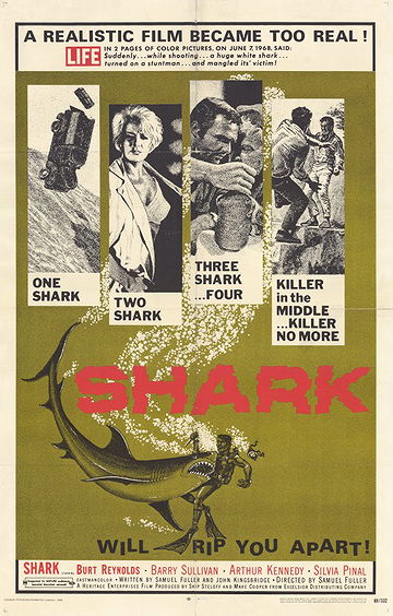 Shark!