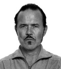 Heinrich Giskes