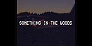 Something In The Woods