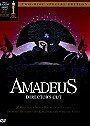 Amadeus - Director