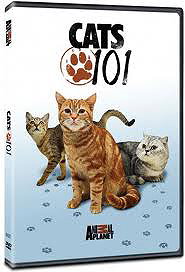 Cats 101
