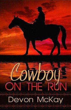 Cowboy on the Run 
