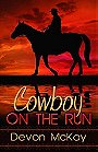 Cowboy on the Run 