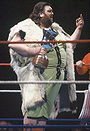 Giant Haystacks