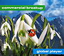 Global Player