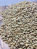 Best Quality Indonesia Robusta Green Beans