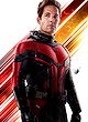 Scott Lang / Ant-Man (Paul Rudd)