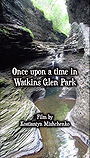 Once upon a time in Watkins Glen Park