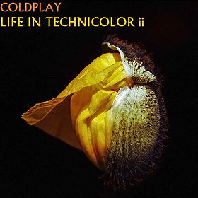 Life In Technicolor II