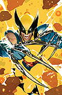 Wolverine