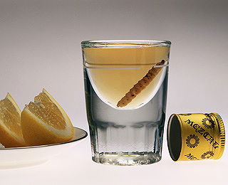 Mezcal