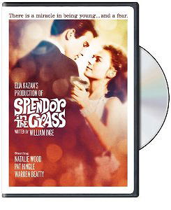 Splendor in the Grass