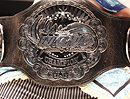 Regina di WAVE Championship