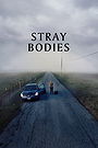 Stray Bodies Stray Bodies