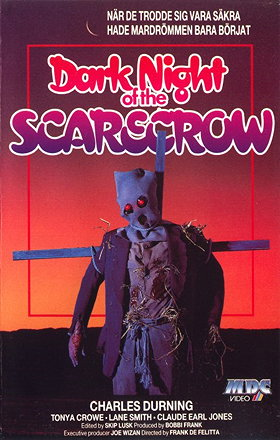 dark night of the scarecrow