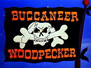 Buccaneer Woodpecker
