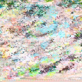 Spring Painting