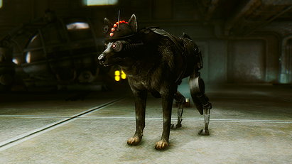 K-9