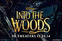 Into the Woods