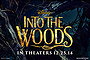 Into the Woods