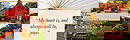 Wedding Planner in Jaipur - Destination Vivah