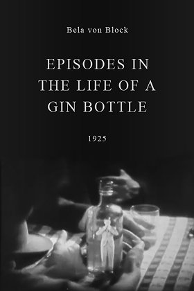 Episodes in the Life of a Gin Bottle