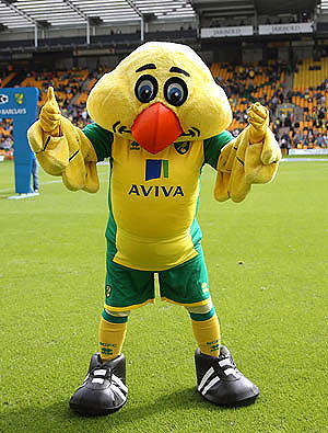 Captain Canary