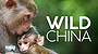 Wild China