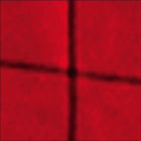 A Red Score In Tile