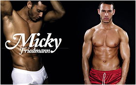 Mickey Friedmann